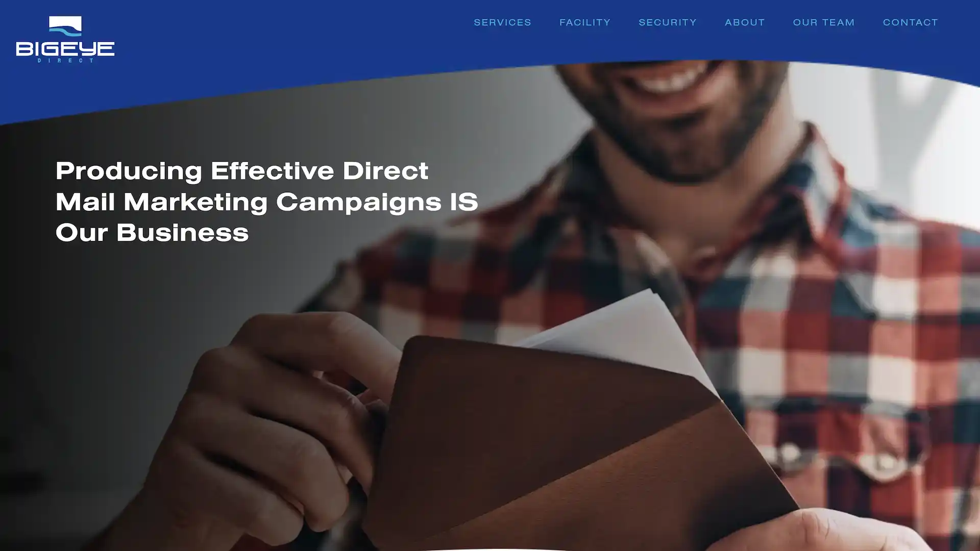 BigEye Direct Website Development